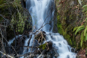 Water Falls